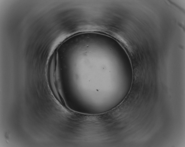 X0000091861472200709191106