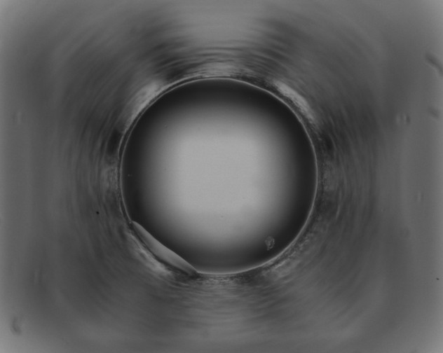 X0000091861473200709191106