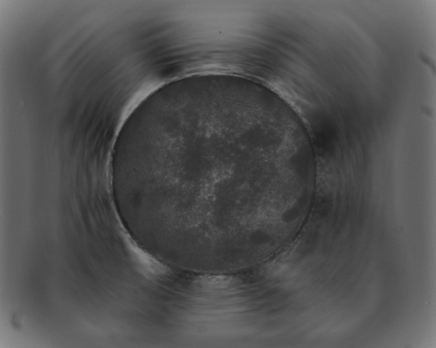 X0000091861474200709191106