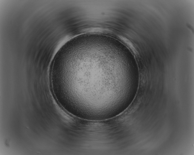 X0000091861475200709191106