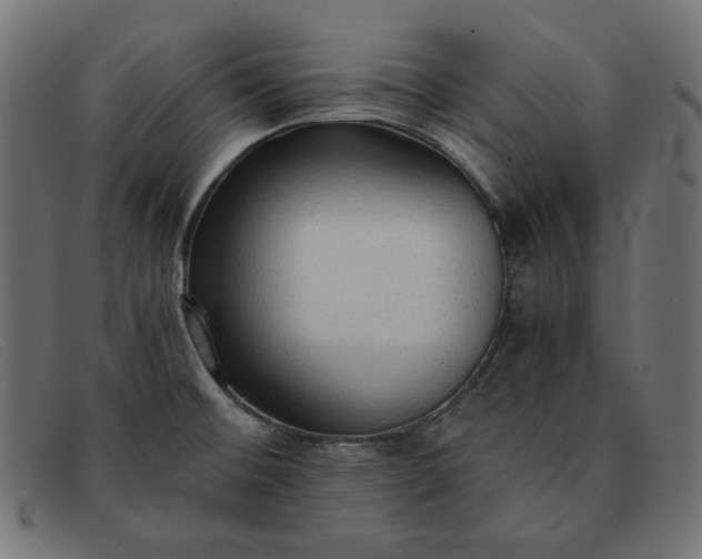 X0000091861476200709191106