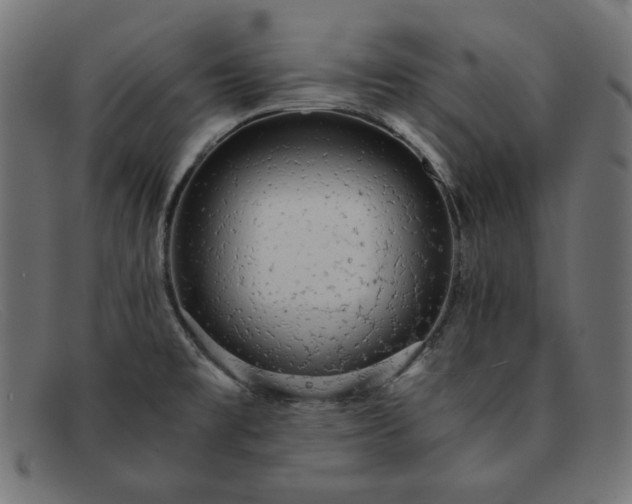 X0000091861477200709191106