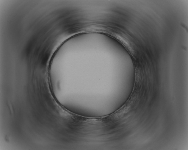 X0000091861478200709191106