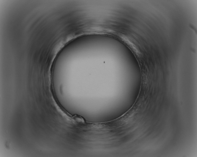 X0000091861479200709191106