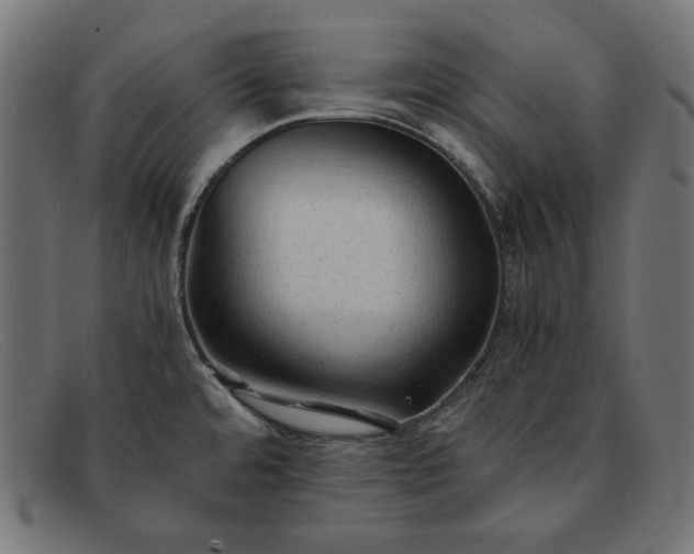 X0000091861480200709191106