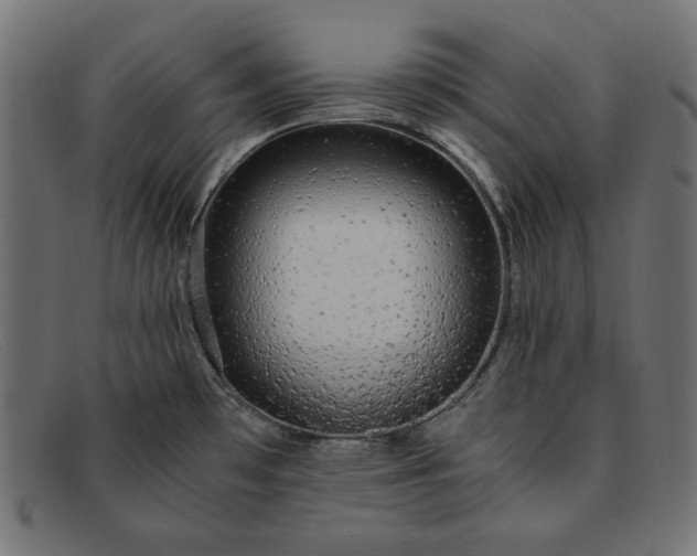 X0000091861481200709191106