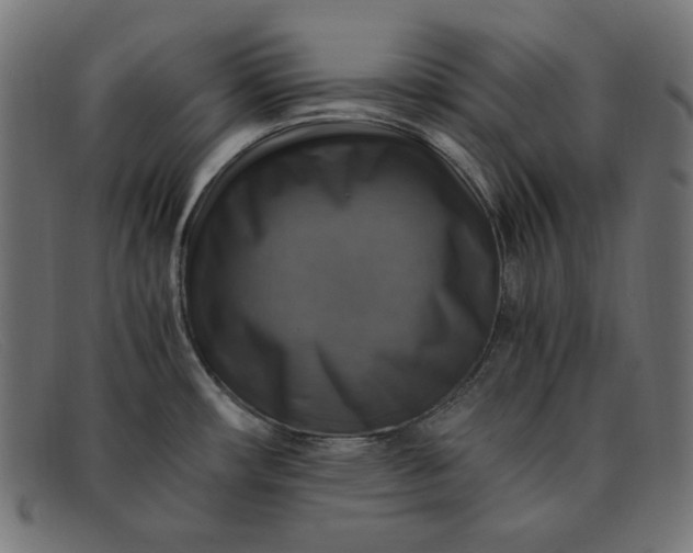 X0000091861482200709191106