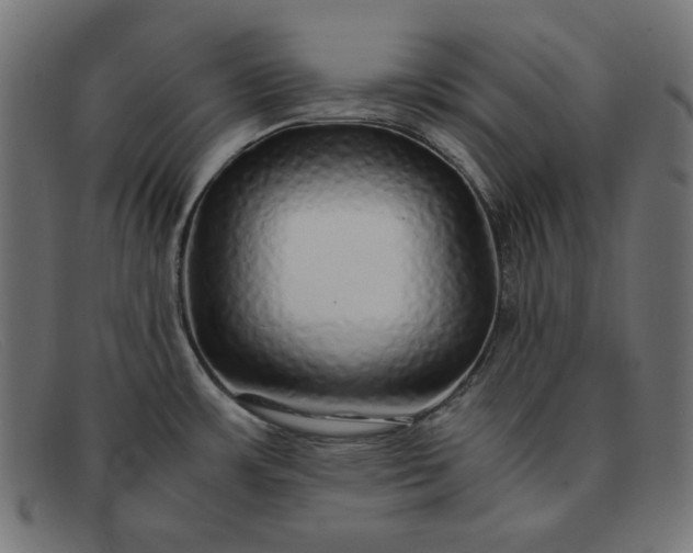 X0000091861483200709191106