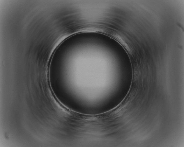 X0000091861484200709191106