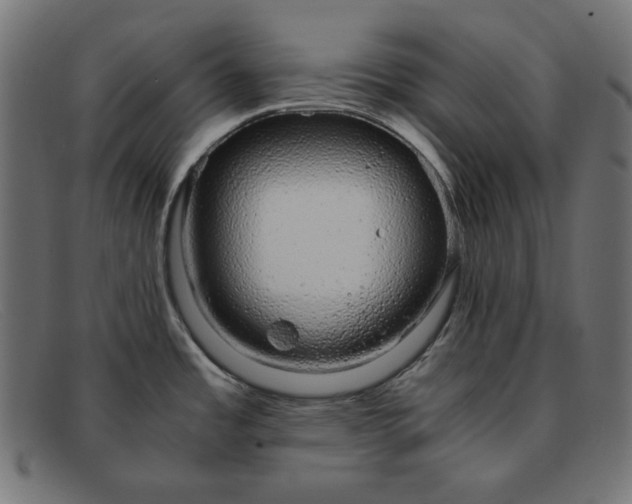 X0000091861485200709191106