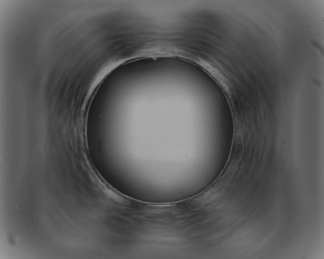 X0000091861486200709191106