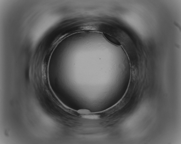 X0000091861487200709191106