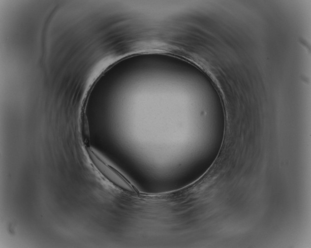 X0000091861488200709191106