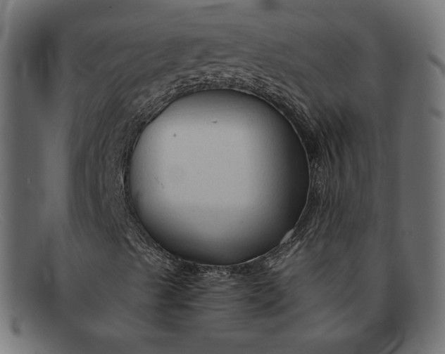 X0000091861489200709191106