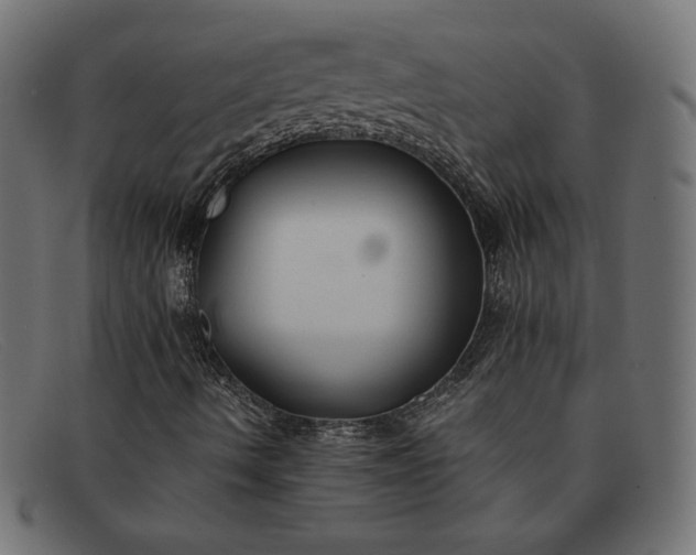 X0000091861490200709191106