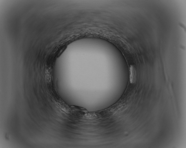 X0000091861491200709191106