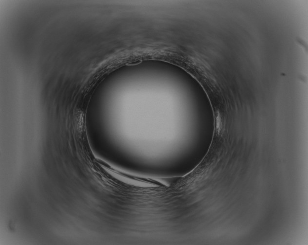 X0000091861492200709191106