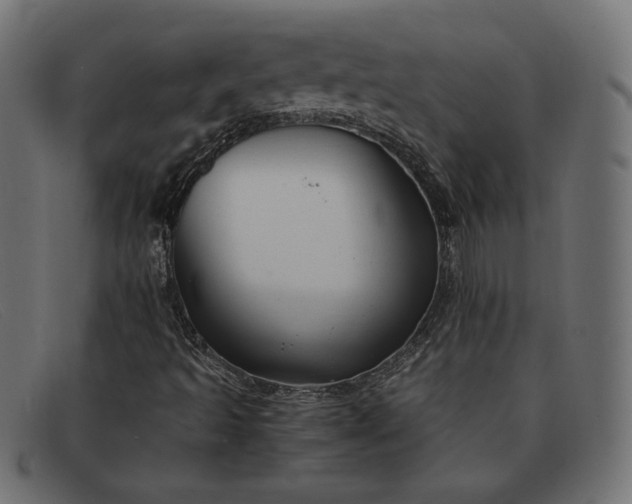 X0000091861493200709191106