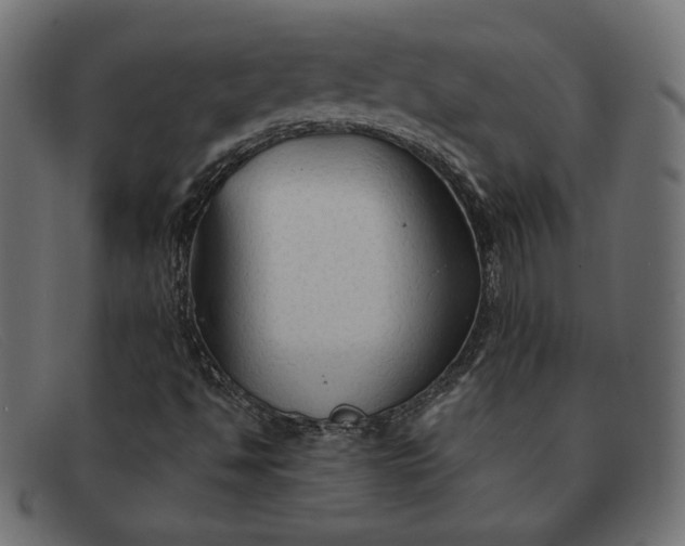 X0000091861494200709191106