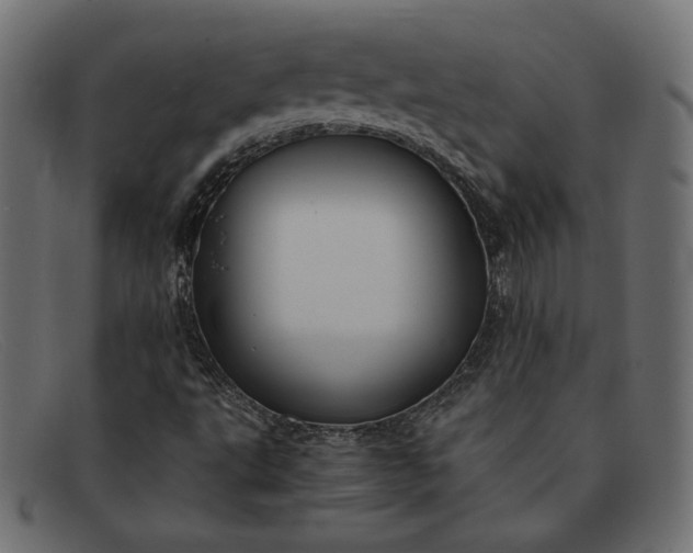 X0000091861495200709191106