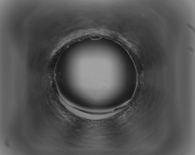 X0000091861496200709191106