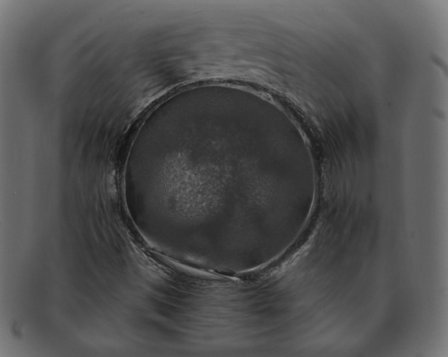 X0000091861497200709191106