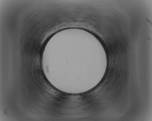 X0000091861498200709191106