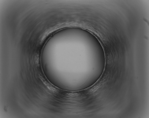 X0000091861499200709191106