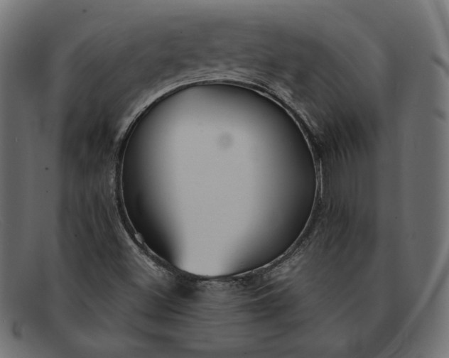 X0000091861500200709191106