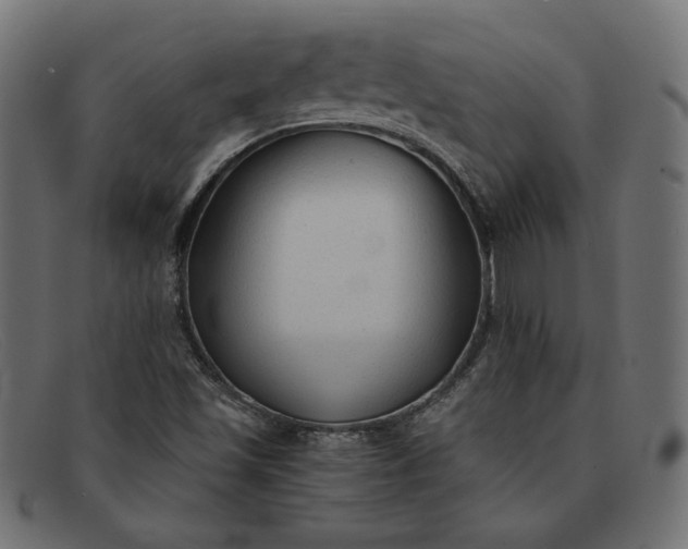 X0000091861501200709191106