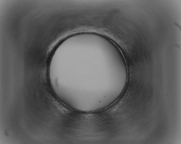 X0000091861502200709191106