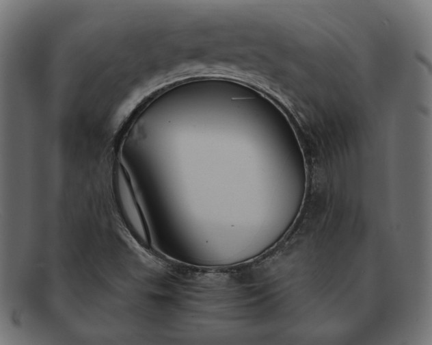 X0000091861503200709191106