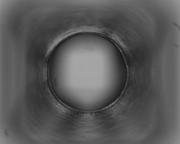 X0000091861504200709191106