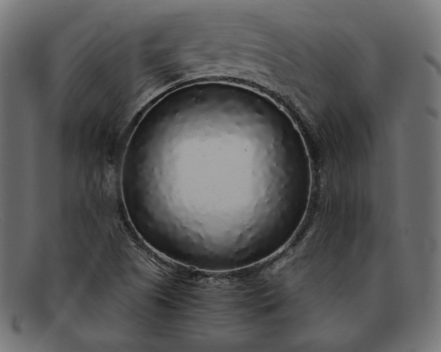 X0000091861505200709191106