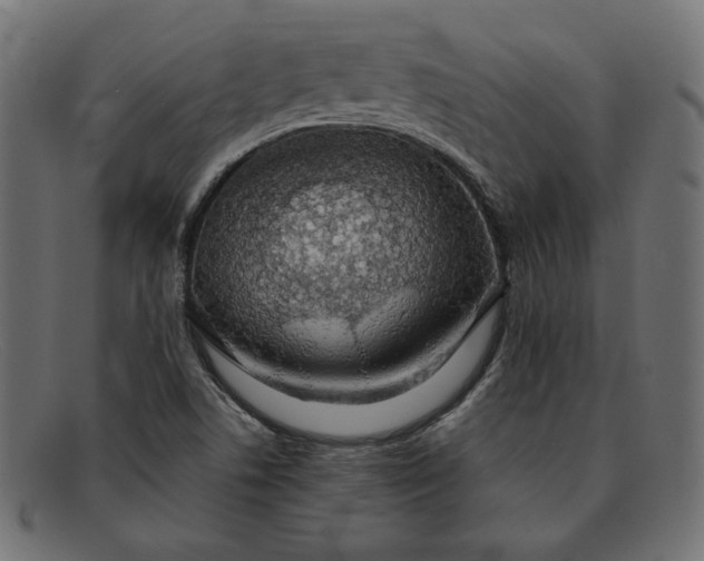 X0000091861506200709191106