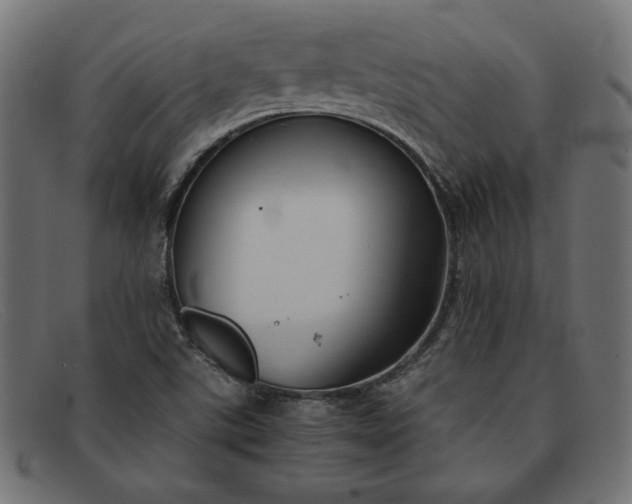 X0000091861507200709191106