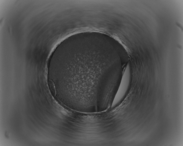 X0000091861508200709191106