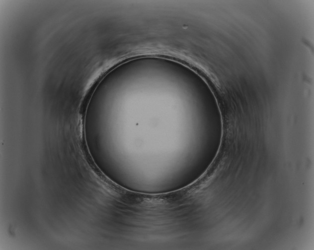 X0000091861509200709191106