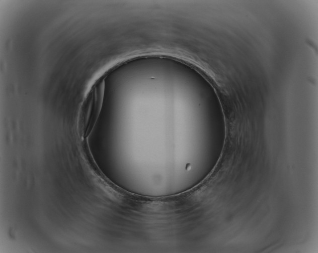 X0000091861510200709191106