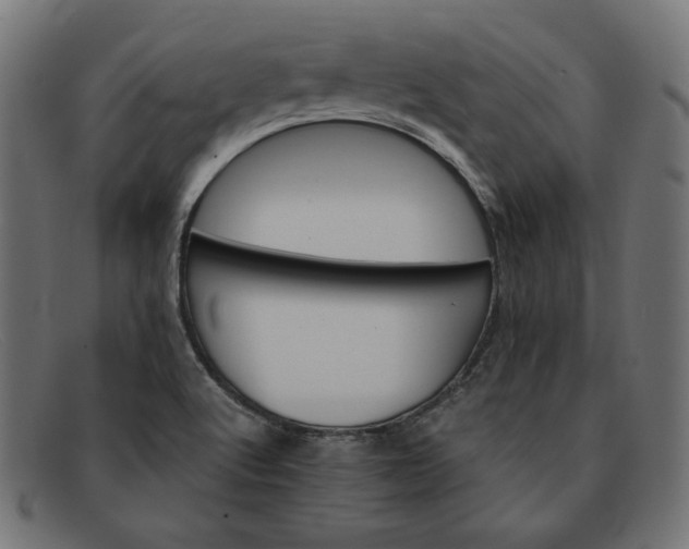 X0000091861512200709191106