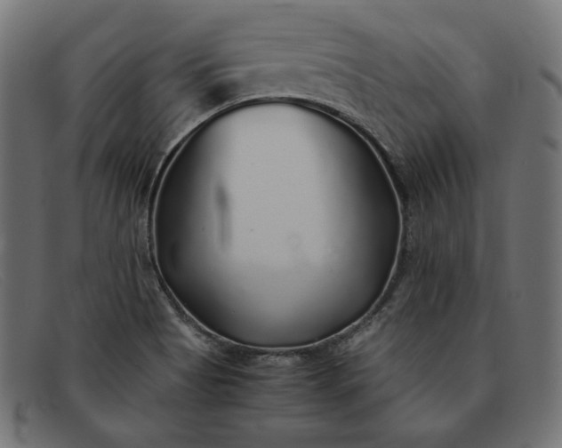 X0000091861513200709191106