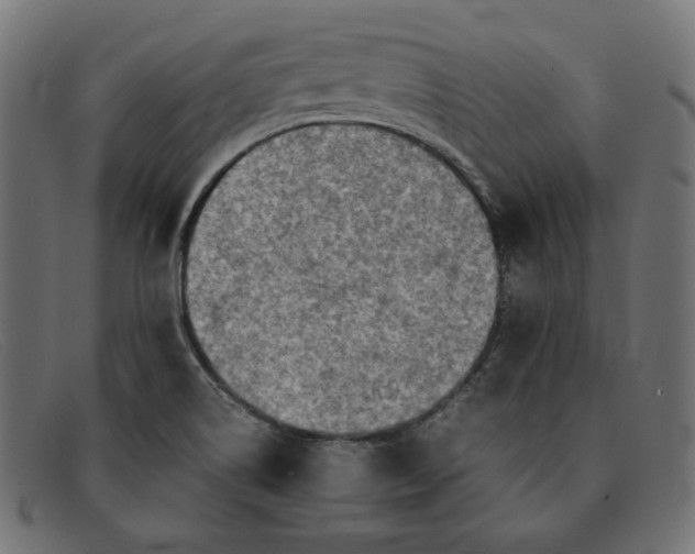 X0000091861514200709191106