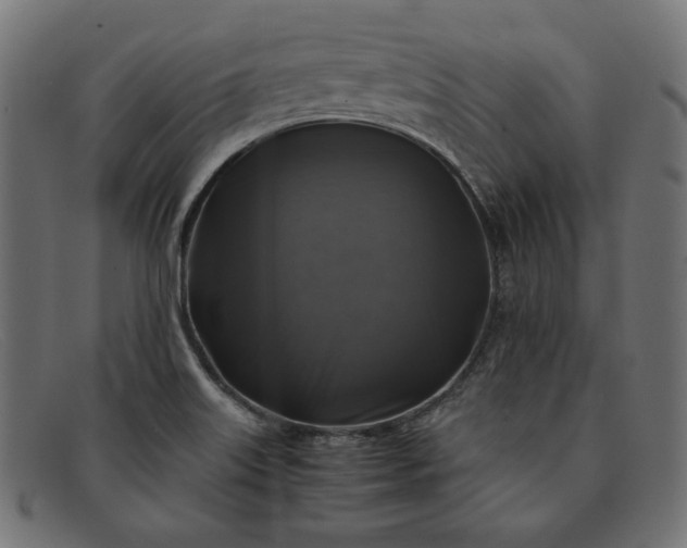 X0000091861515200709191106