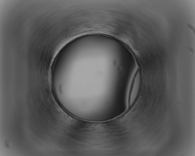 X0000091861516200709191106