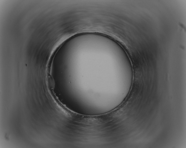 X0000091861517200709191106