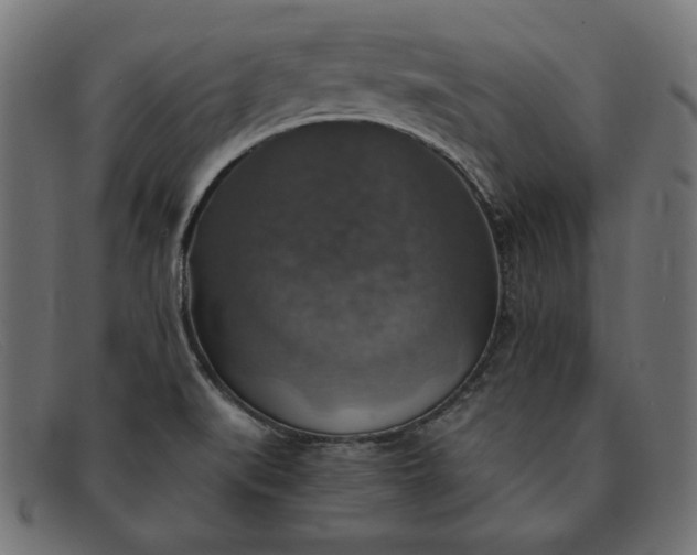 X0000091861519200709191106