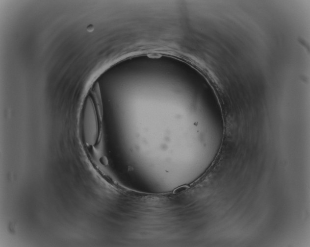 X0000091861520200709191106