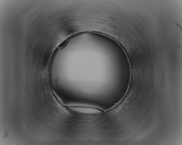 X0000091861521200709191106