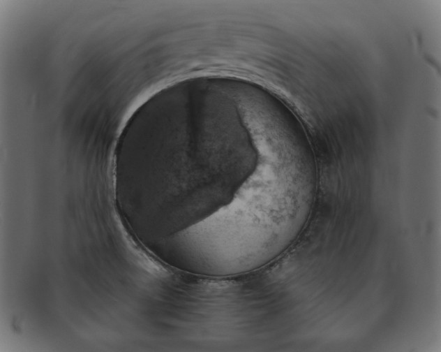 X0000091861522200709191106