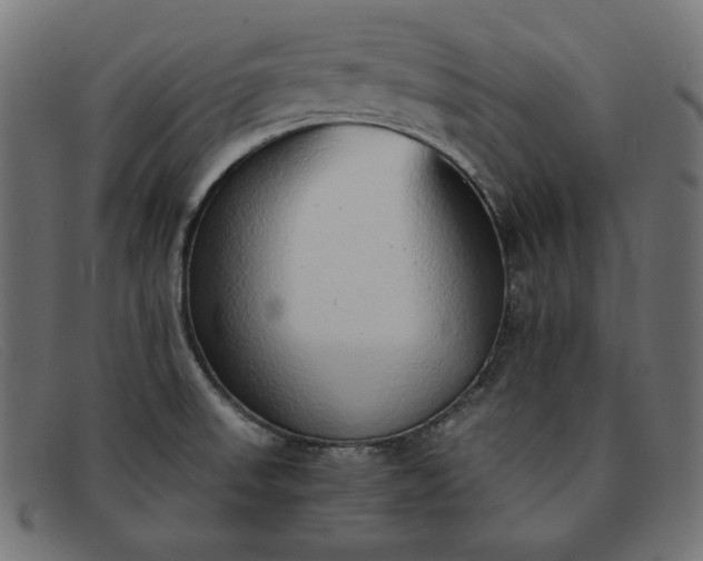 X0000091861523200709191106